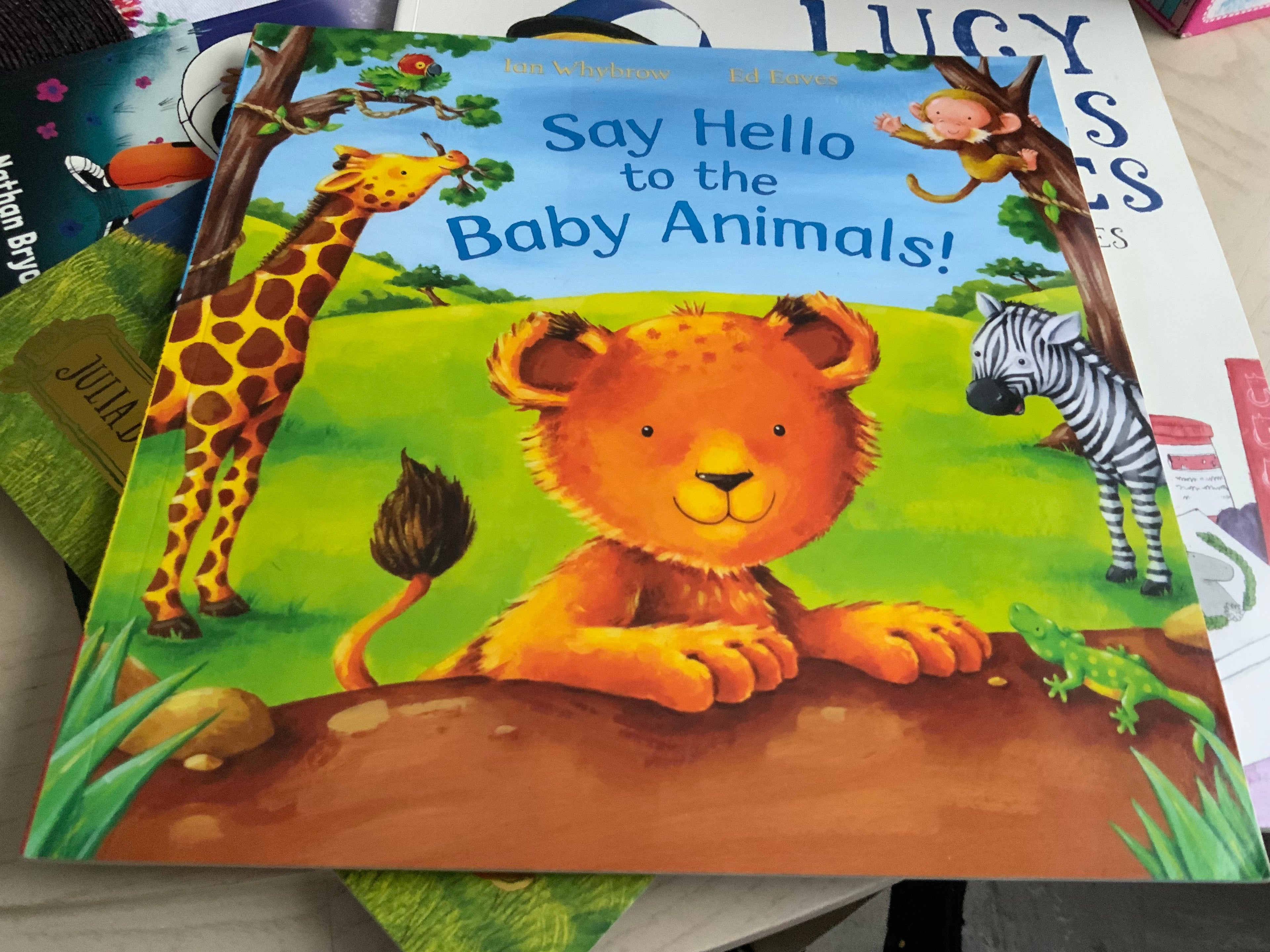 Say Hello to Baby Animals